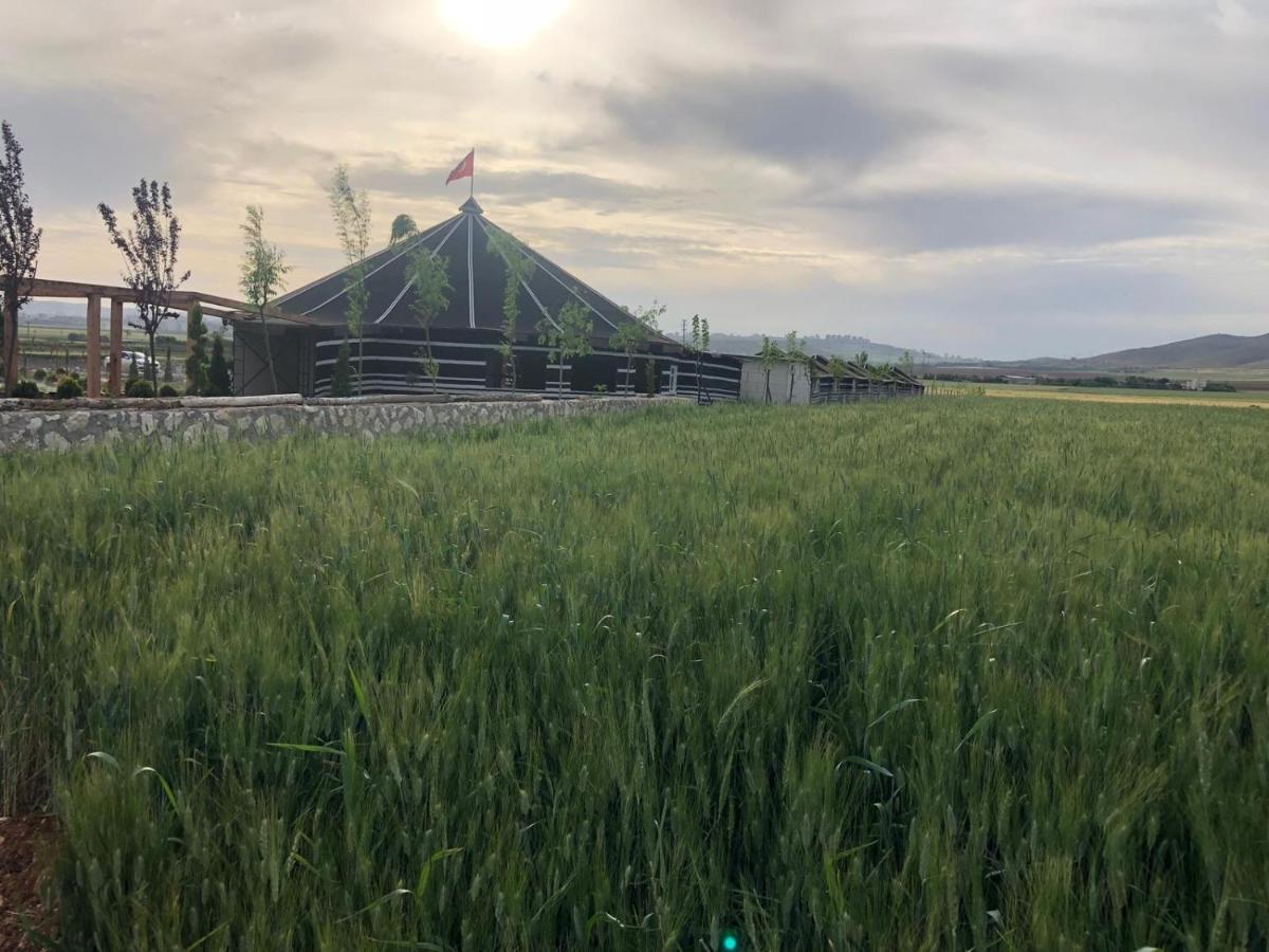 Gobeklitepe Cadir Saray Hotell Sanlıurfa Exteriör bild